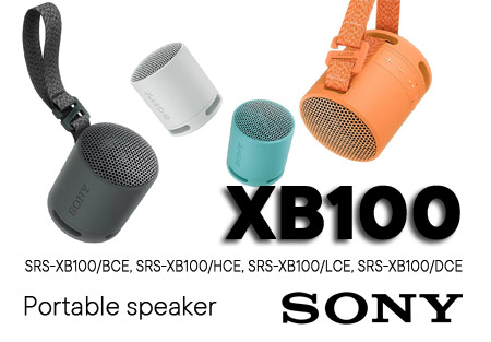 Sony SRS-XB100